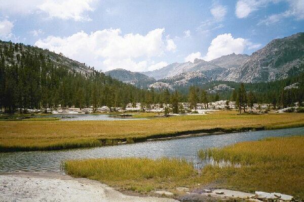 Kaweah29