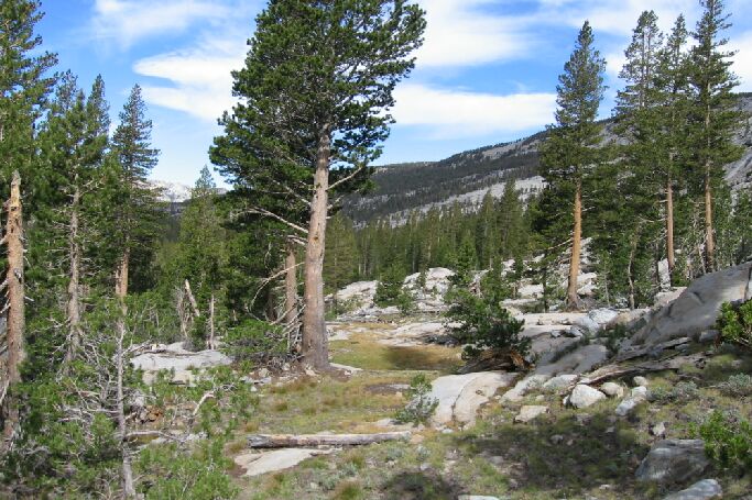 Lyell Fork Trip