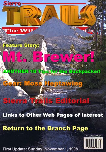 Travel to and climb Mt. Brewer.